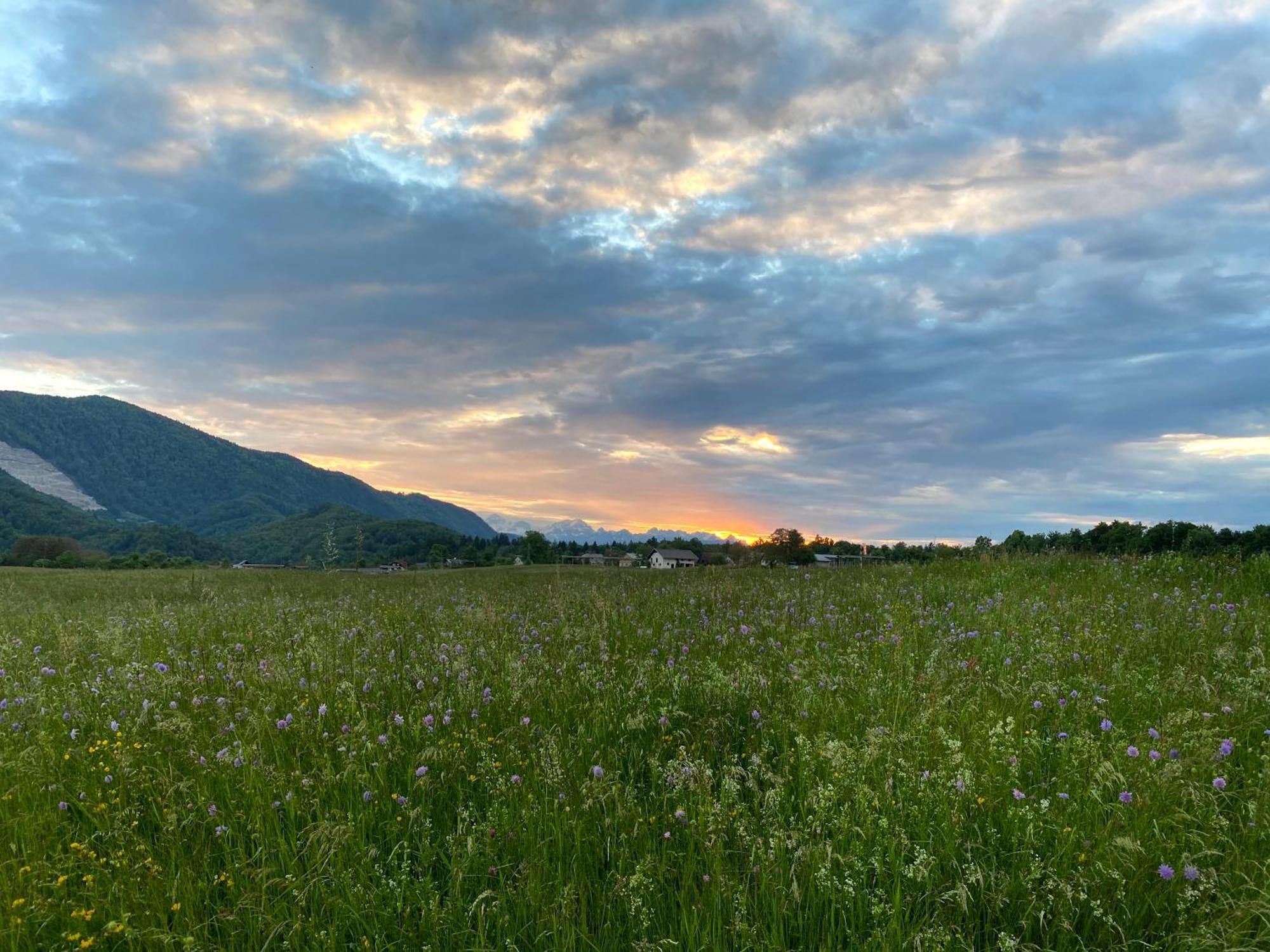 Luxury Holiday Home Near Lake Bled & The Alps Kropa Εξωτερικό φωτογραφία
